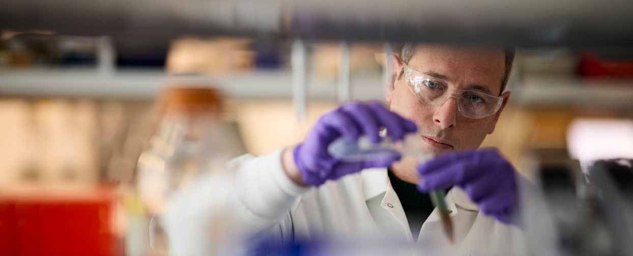 A laboratory researcher in protective glasses and purple gloves handles a sample.